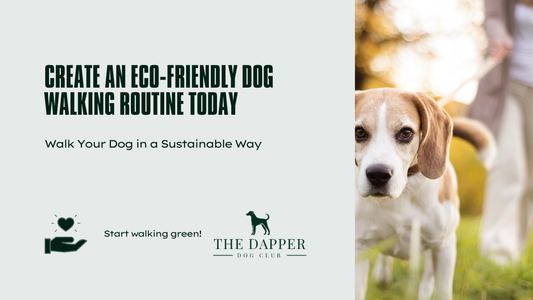 How to Create an Eco-Friendly Dog Walking Routine